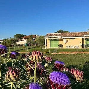 Alloggio per agriturismo Il Giardino Di Nunzia, Principina Terra